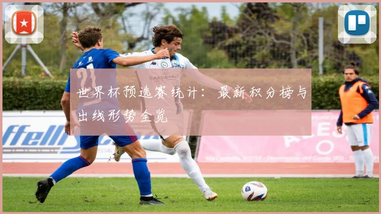 世界杯预选赛统计：最新积分榜与出线形势全览