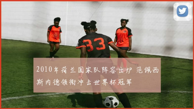 2010年荷兰国家队阵容出炉 范佩西斯内德领衔冲击世界杯冠军