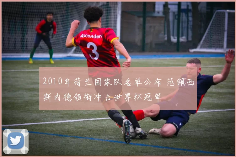 2010年荷兰国家队名单公布 范佩西斯内德领衔冲击世界杯冠军