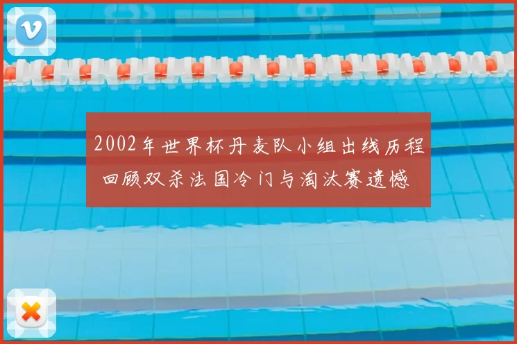 2002年世界杯丹麦队小组出线历程 回顾双杀法国冷门与淘汰赛遗憾