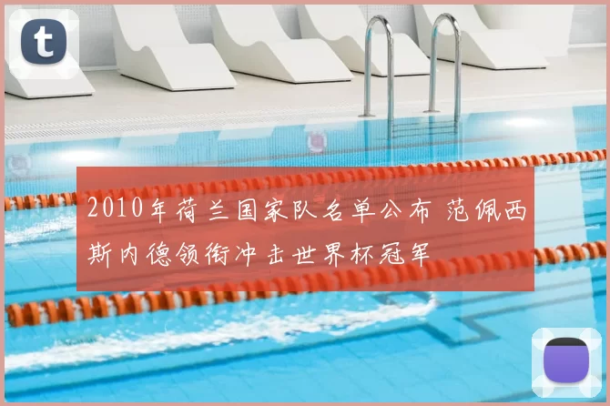 2010年荷兰国家队名单公布 范佩西斯内德领衔冲击世界杯冠军
