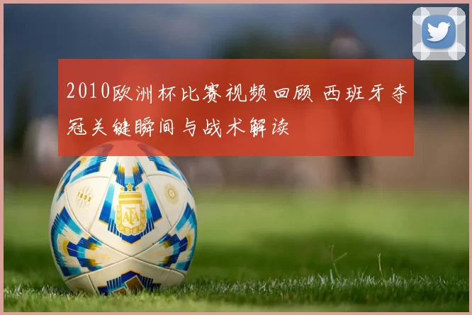 2010欧洲杯比赛视频回顾 西班牙夺冠关键瞬间与战术解读