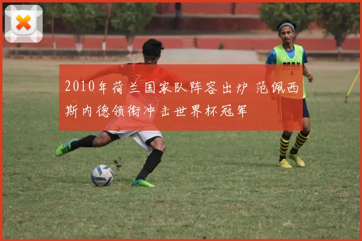 2010年荷兰国家队阵容出炉 范佩西斯内德领衔冲击世界杯冠军